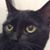 Sherri Beissner's profile image