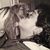 Lisa M. Blaskewicz's profile image