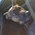 Jaime Dirk Sanchez's profile image