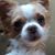 Karen Hawkins's profile image