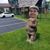 Rick Wollnick's profile image