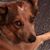 Rosemary Sparks's profile image