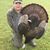 John Rogers Criddle's profile image