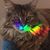 Marvin Cook's profile image