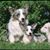 Cathy D Baker's profile image