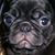 Patricia Illsley's profile image
