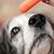 Britni Lamontagne's profile image