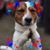 Jennifer Pederson's profile image
