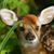 Vonda Smith's profile image