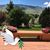 Ann Osburn's profile image