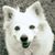 Cathy Coon Schweitzer's profile image
