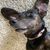 Jeff Dorn's profile image