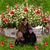 Renee Burleigh Szymczak's profile image