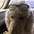 Karen Williams's profile image