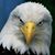 Jane Dow's profile image