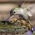 Jennifer Fisher Jones's profile image