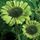 Debi S.'s profile image