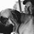 Lori Pearsall Heagy's profile image