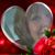 Anita K Anderson's profile image