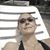 Susan Glennon's profile image