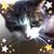 Kathy Mohrland's profile image