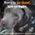 Donna Browne Raymer's profile image