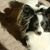 Debbie A Martelli's profile image