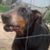 Dean Byrum's profile image