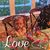 Carol Anne's profile image