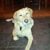 Stephanie Freeman-kasenak's profile image