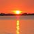 Vickie Shellman's profile image