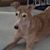 Candi Murphy's profile image