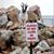 Dawn Reczek Firek's profile image