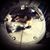 Marie Owens Stecklow's profile image
