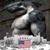 Jason Boyd's profile image