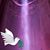 Marie Senior's profile image