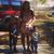 Tasia Andrade's profile image
