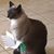 Gale Mitchell's profile image