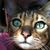 Diann Rice Smith's profile image