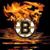Sandy Cataleta's profile image