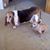 Deanna McCracken's profile image