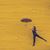 Lynne Forbes-Zeller's profile image