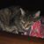 Konnie Aveiro Glaze's profile image