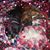 Stephanie Parker Moody's profile image
