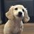 Patricia Silvie's profile image