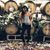Meagan Fummerton's profile image