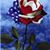 Vickie Zierold's profile image