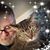Joe Hutchison's profile image