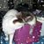Heather Miller's profile image