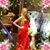 MaryAnne Lettieri's profile image